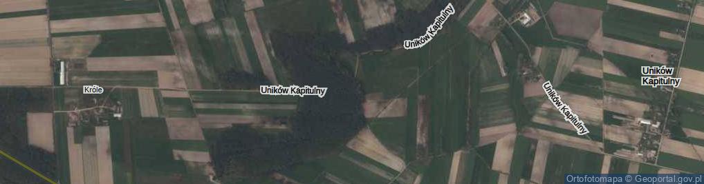 Zdjęcie satelitarne Uników Kapitulny ul.